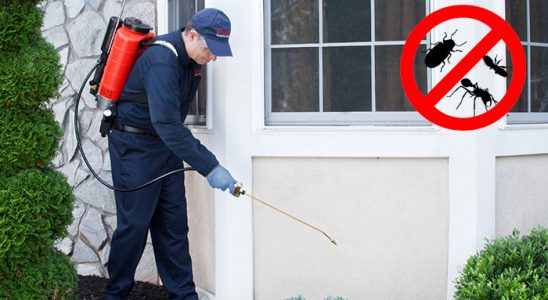 Polatlı Kene İlaçlama böcek ilaçlama ve haşere kontrolü — ilaclama-tr.com